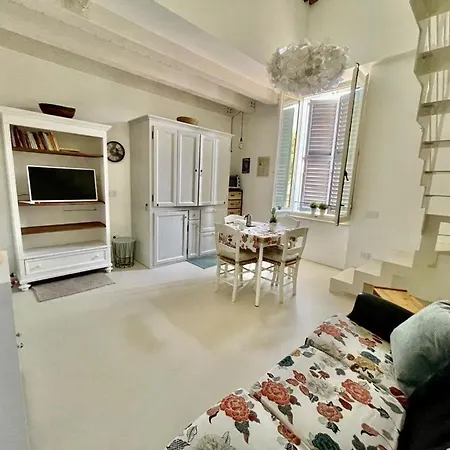 Daire Loft La Contessa